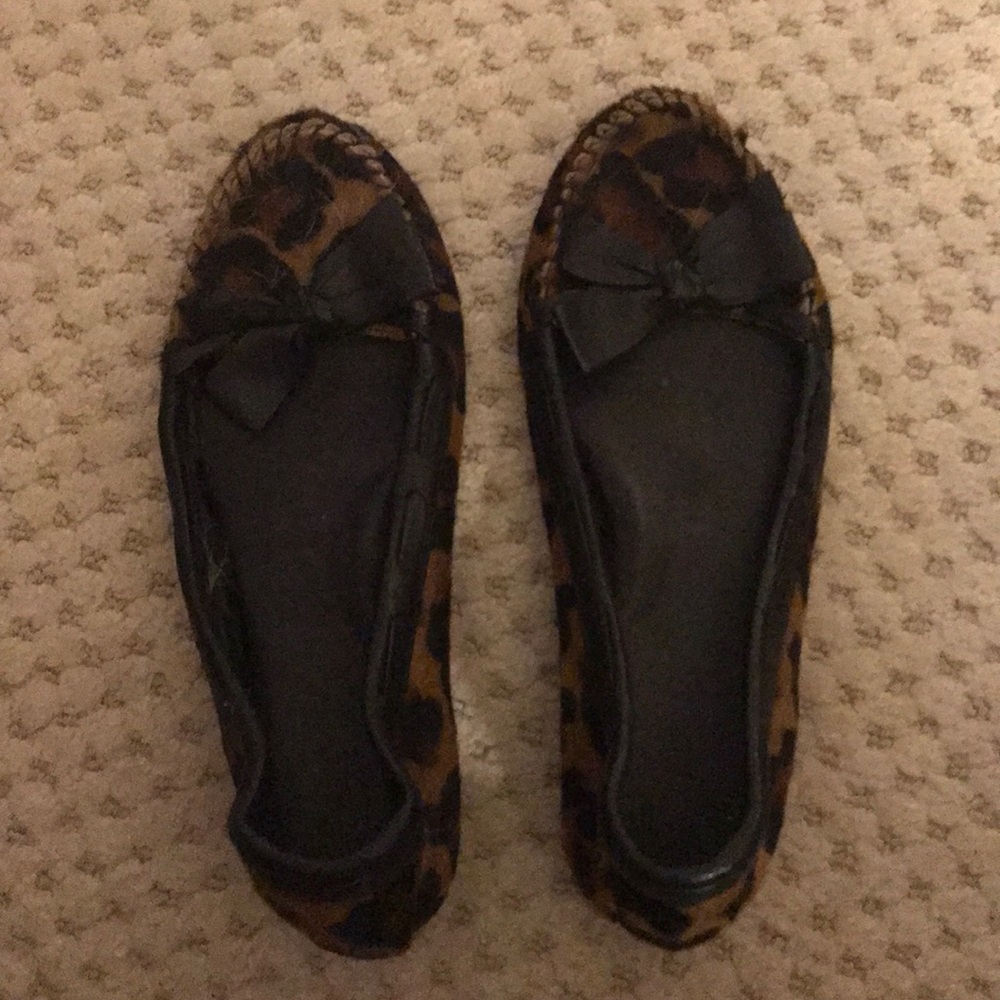 Bollo flats
